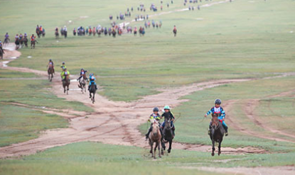 Л.Даяндэмидийн хонгор үрээ түрүүлж, Б.Нямжавын хээр үрээ айрагдлаа